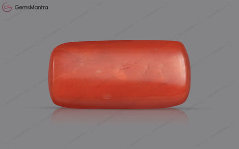 Red Coral - 3.51 Carats