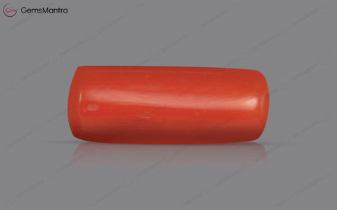 Red Coral - 3.73 Carats