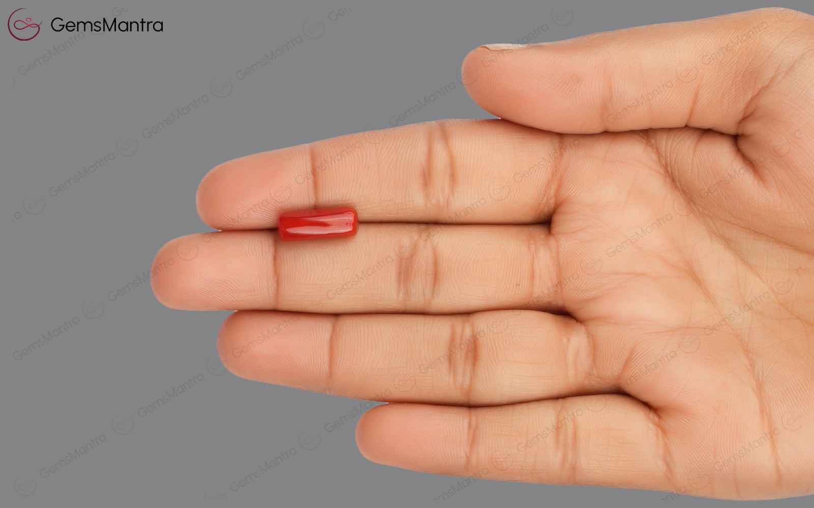 Red Coral - 3.8 Carats