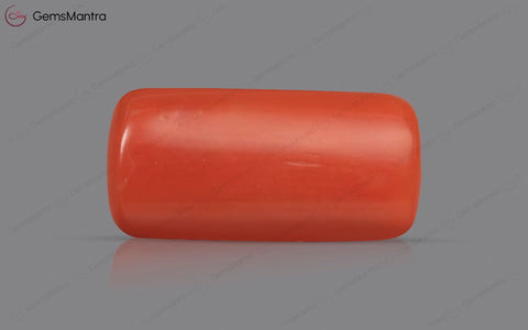 Red Coral - 3.67 Carats