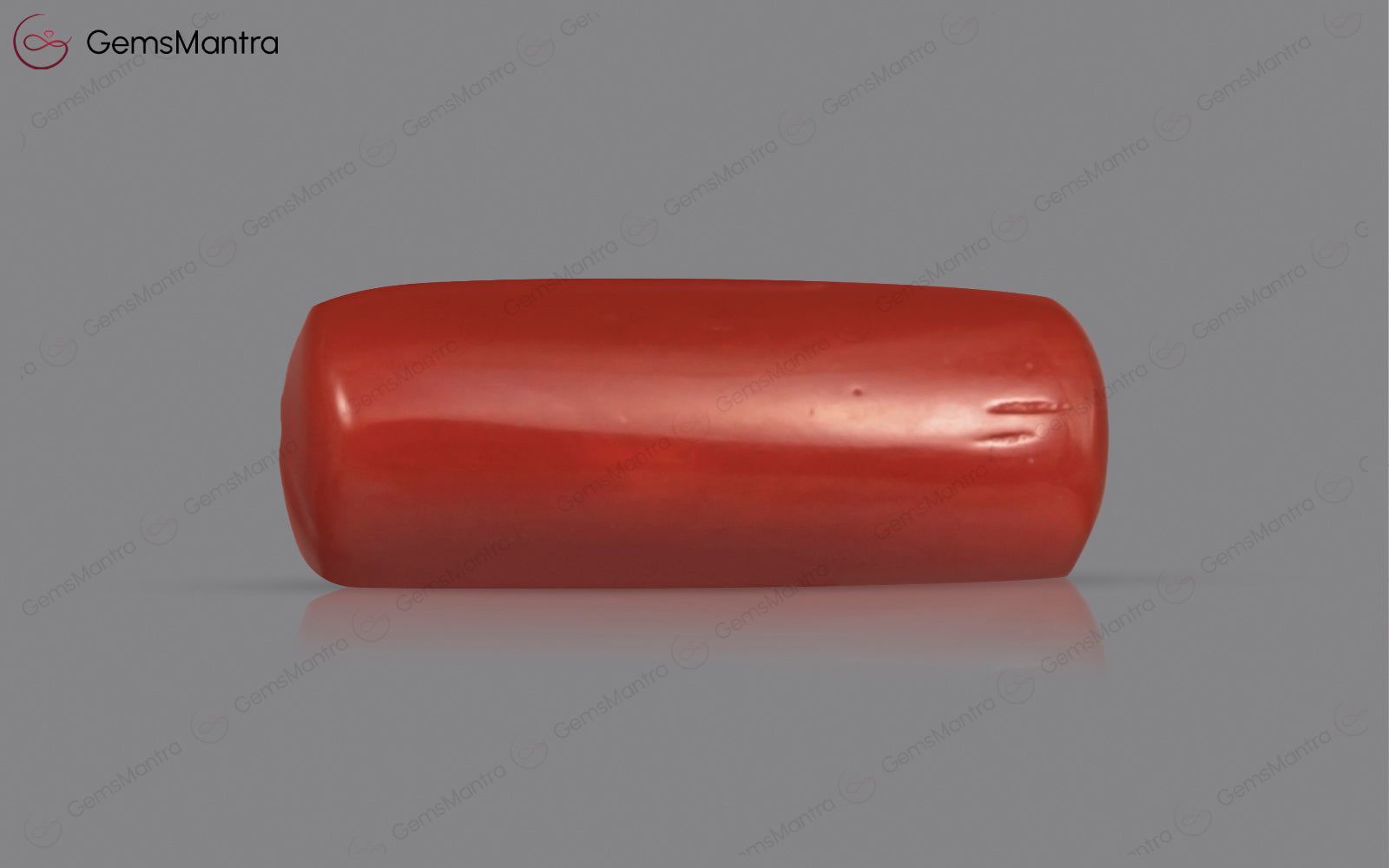 Red Coral - 3.72 Carats