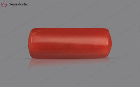 Red Coral - 3.72 Carats