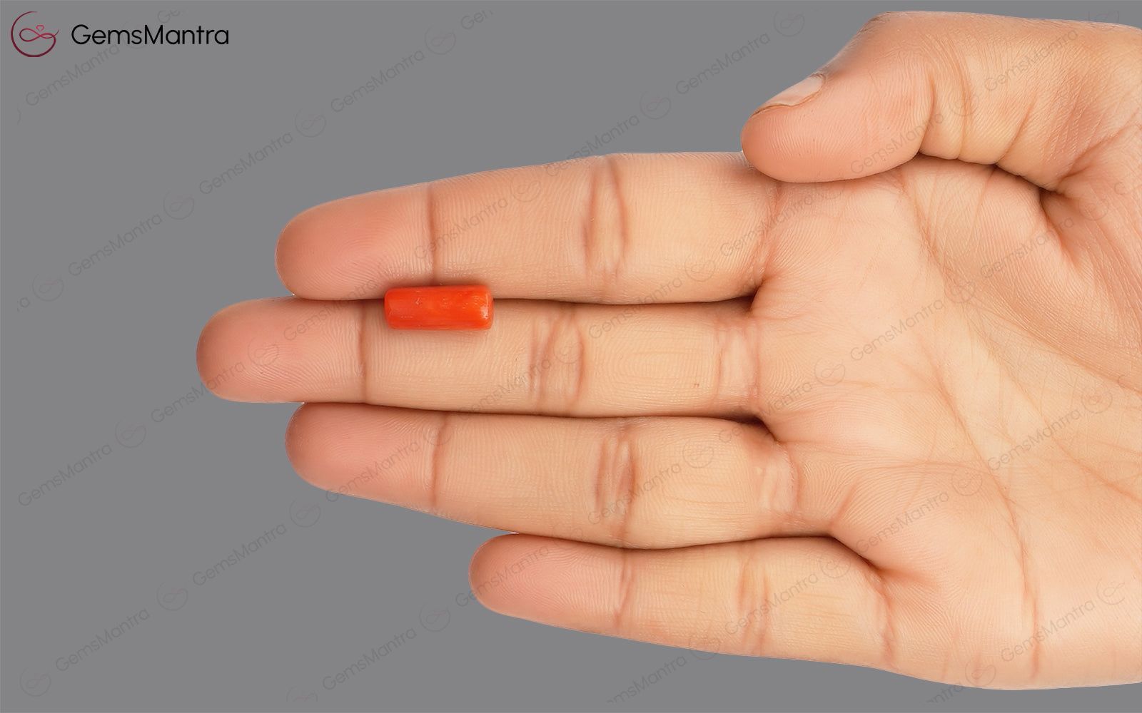 Red Coral - 3.96 Carats