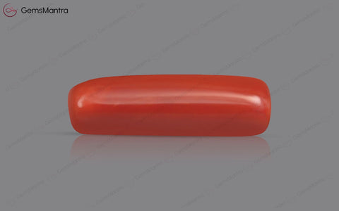 Red Coral (Moonga) – 7.62 Carat / 8.4 Ratti [GM01923]