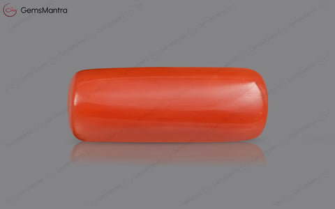 Red Coral (Moonga) – 8.59 Carat / 9.4 Ratti [GM01930]