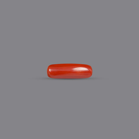 Red Coral - 8.31 Carats