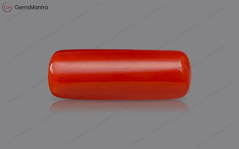Red Coral - 8.15 Carats