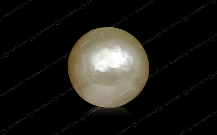 Golden South Sea Pearls