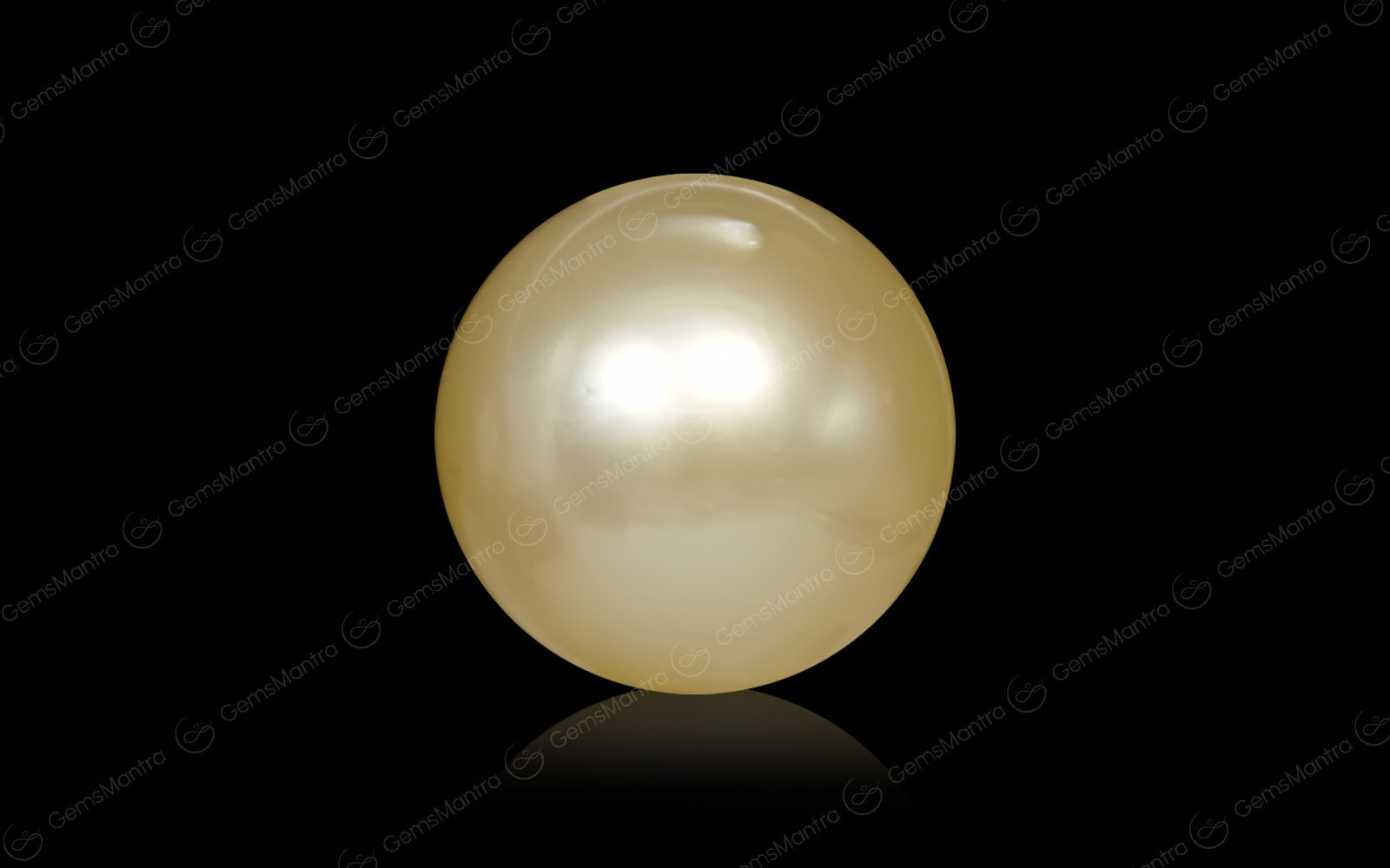 South Sea Pearl - 7.38 Carats