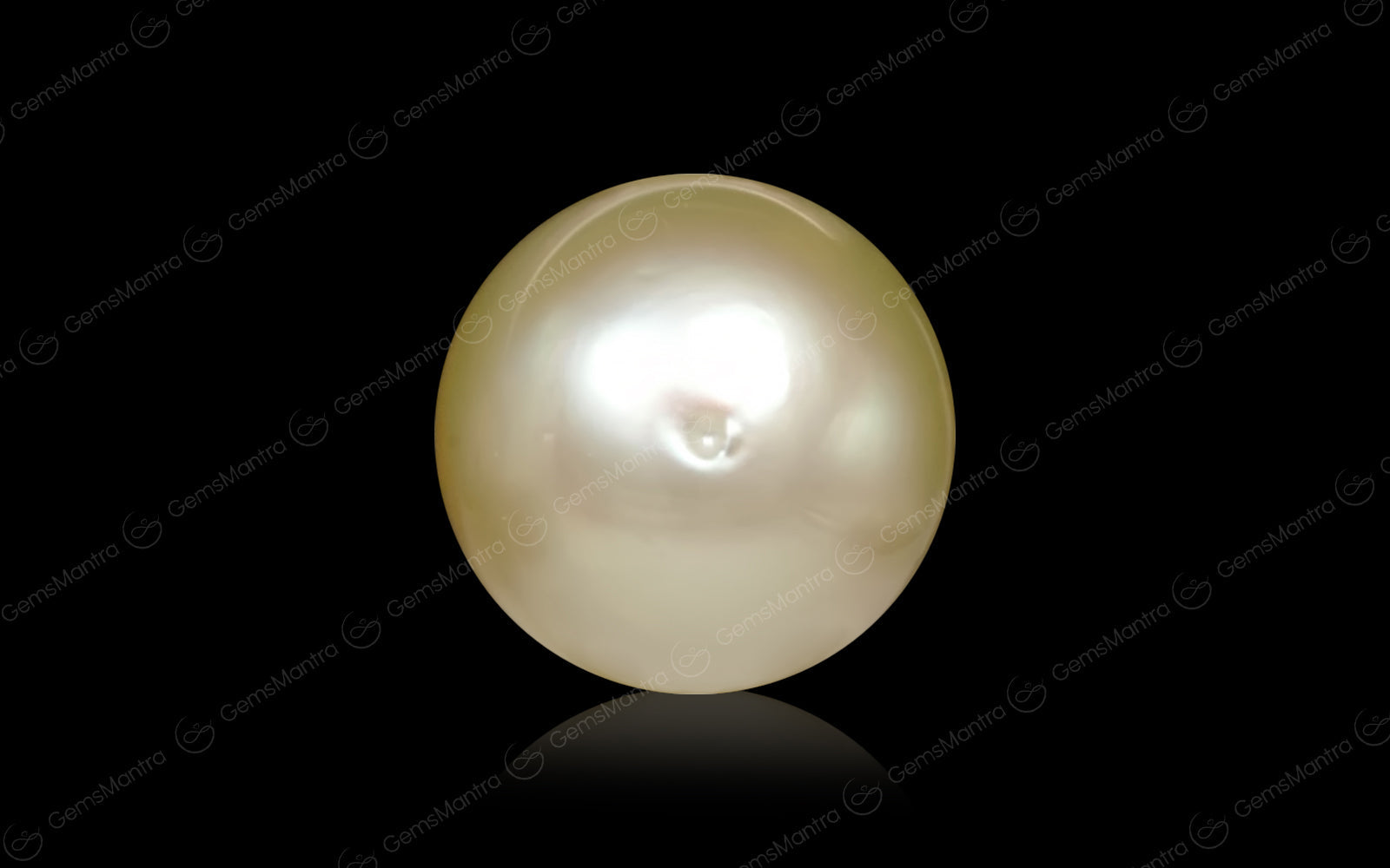 South Sea Pearl - 7.38 Carats