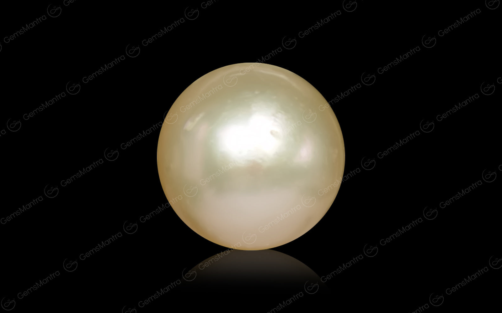 South Sea Pearl - 5.25 Carats