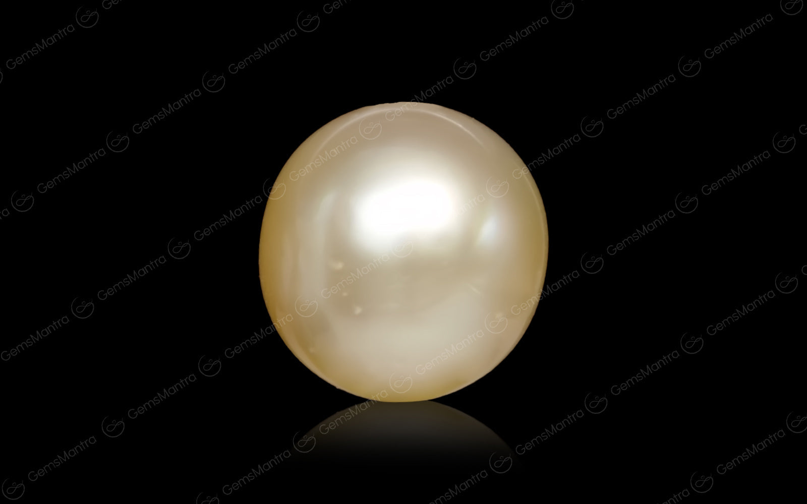 South Sea Pearl - 7.55 Carats