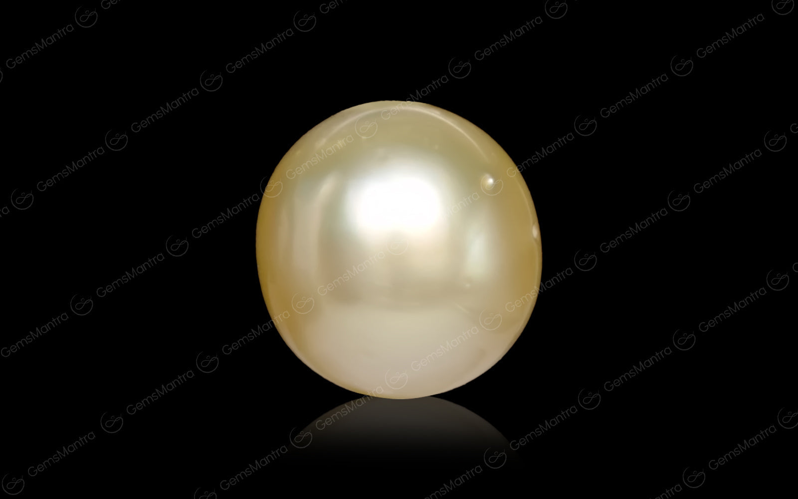 South Sea Pearl - 7.55 Carats