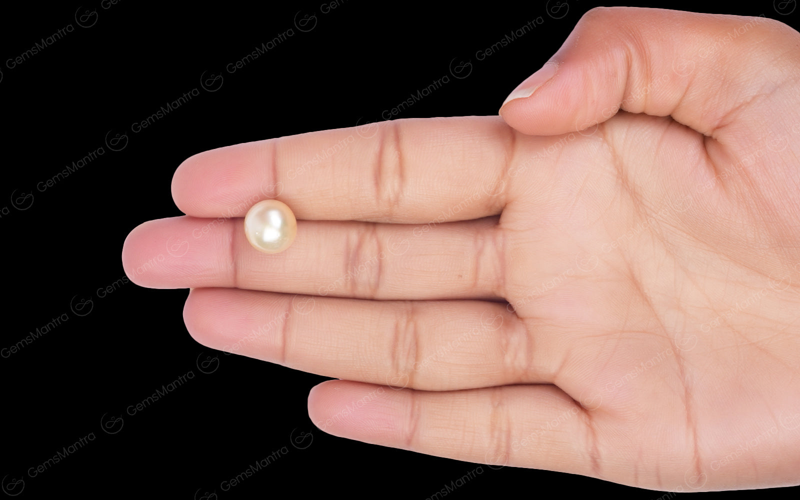 South Sea Pearl - 7.55 Carats