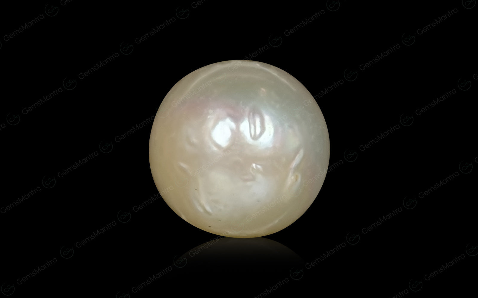 South Sea Pearl - 2.6 Carats