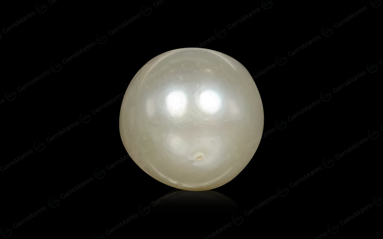South Sea Pearl - 2.6 Carats