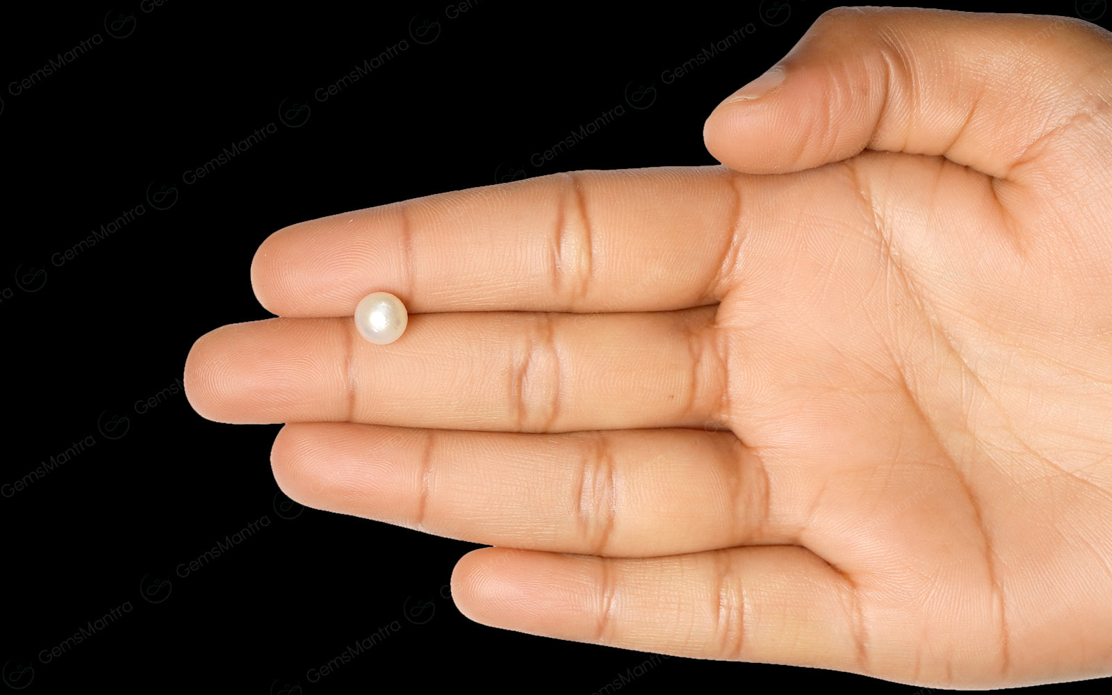 South Sea Pearl - 2.6 Carats