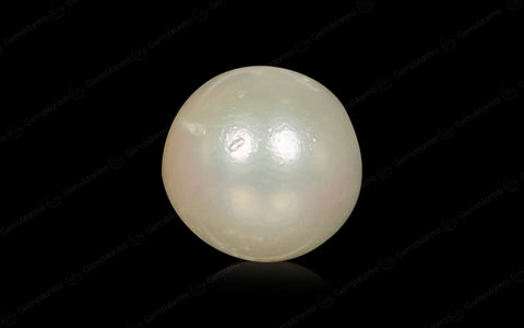 South Sea Pearl (Moti) – 6.91 Carat / 7.6 Ratti [GM02984]