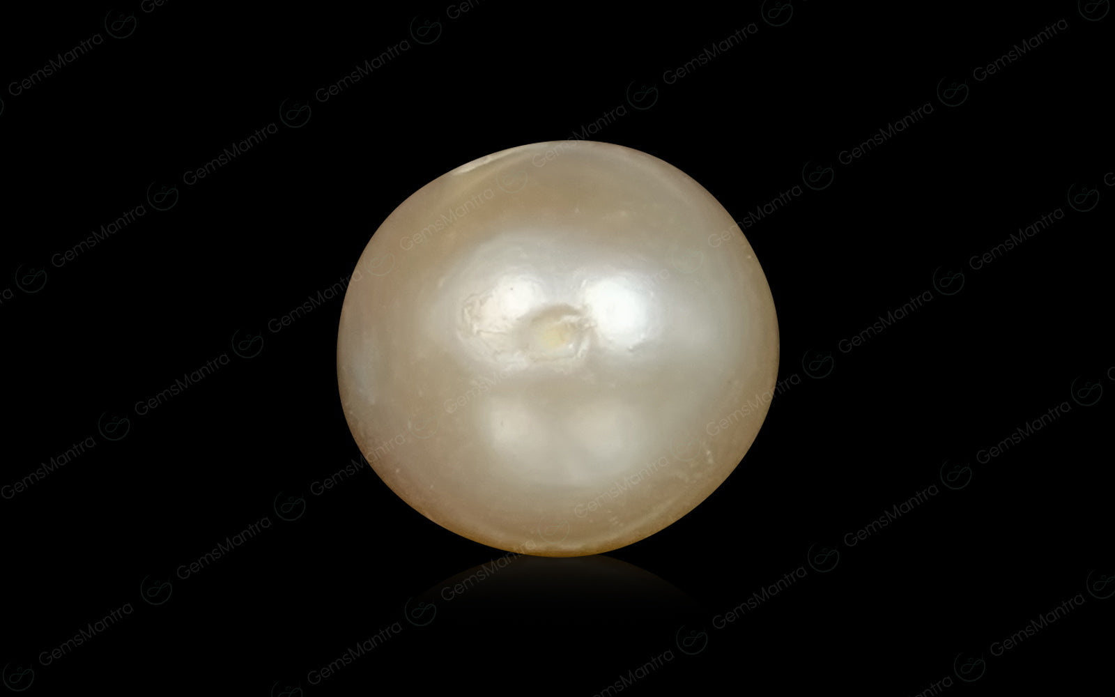 South Sea Pearl - 4.46 Carats