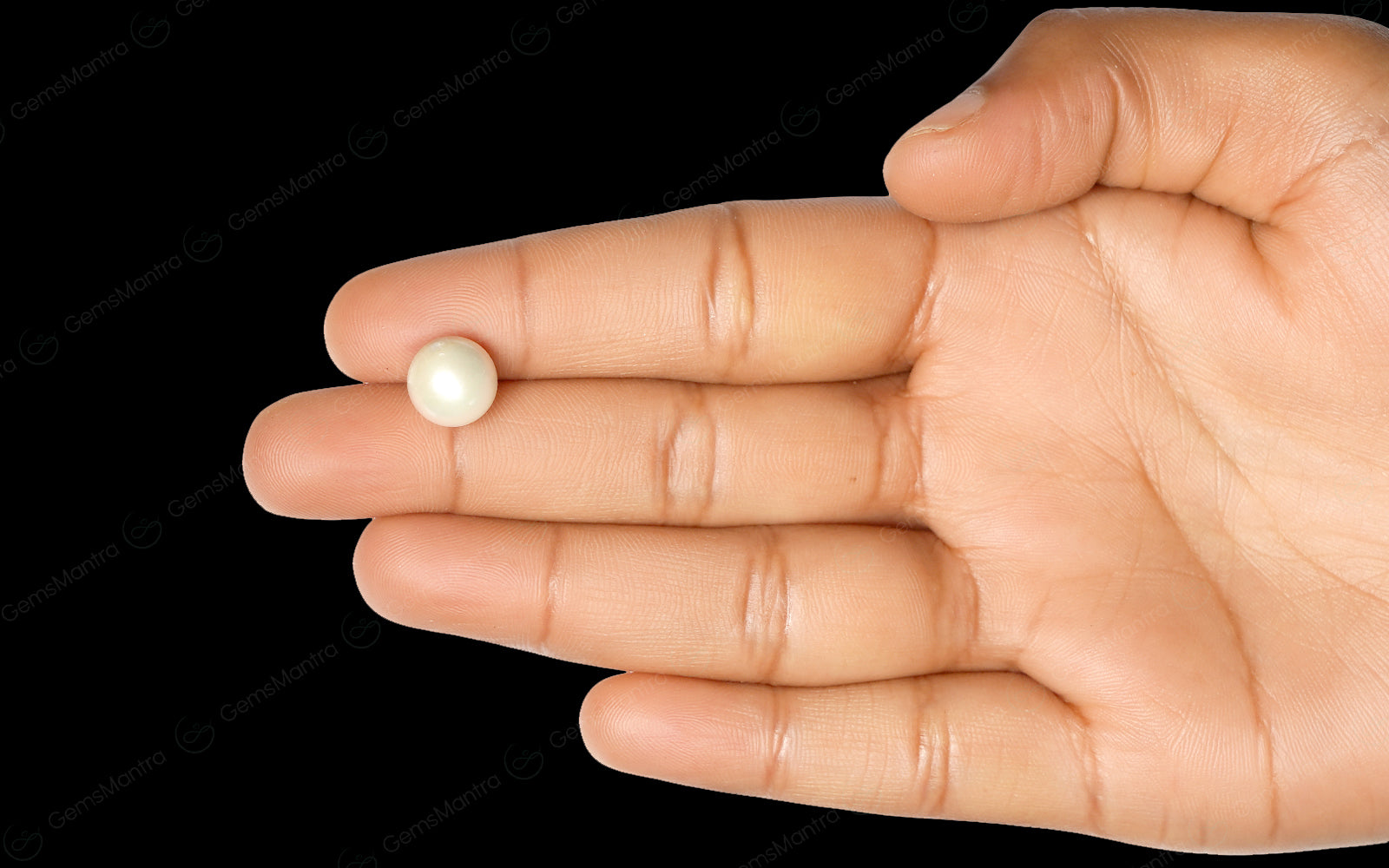 South Sea Pearl - 6.58 Carats