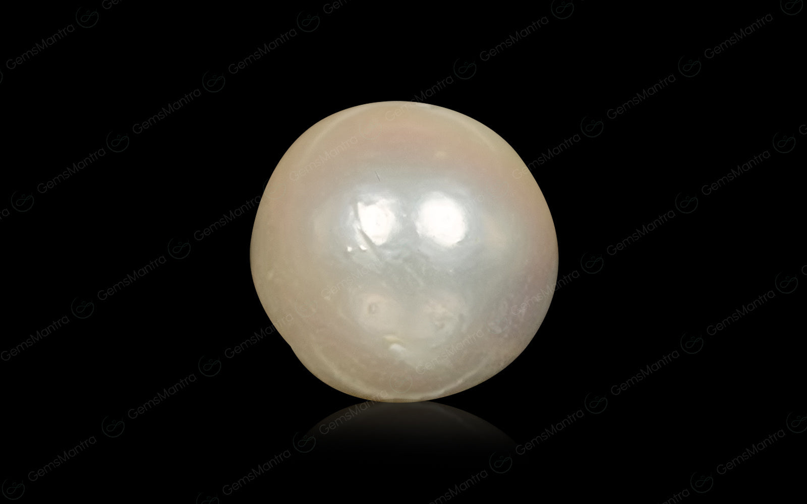 South Sea Pearl - 7.03 Carats