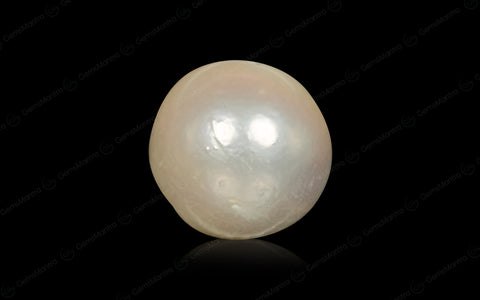 South Sea Pearl (Moti) – 7.03 Carat / 7.7 Ratti [GM02993]