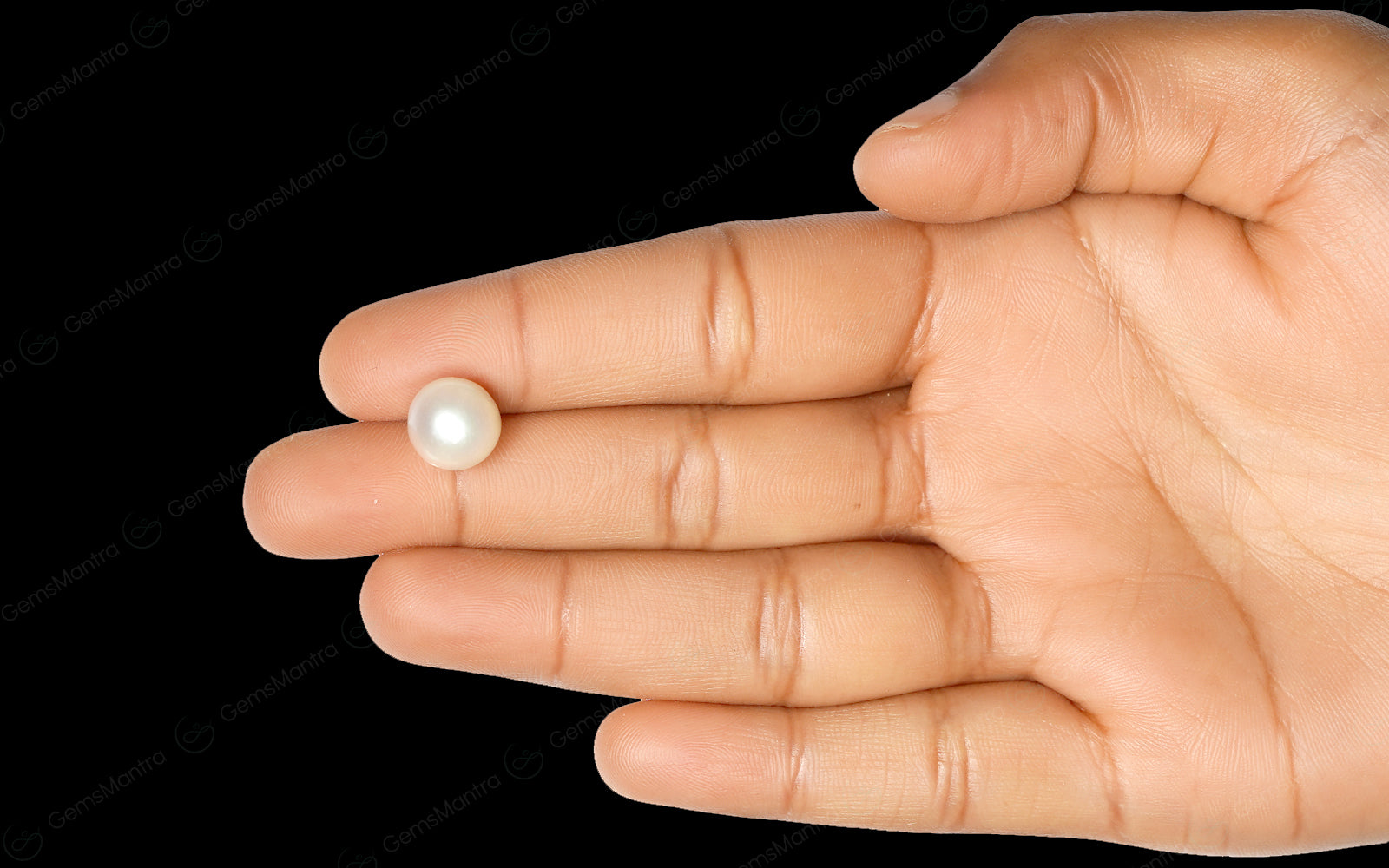 South Sea Pearl - 7.03 Carats