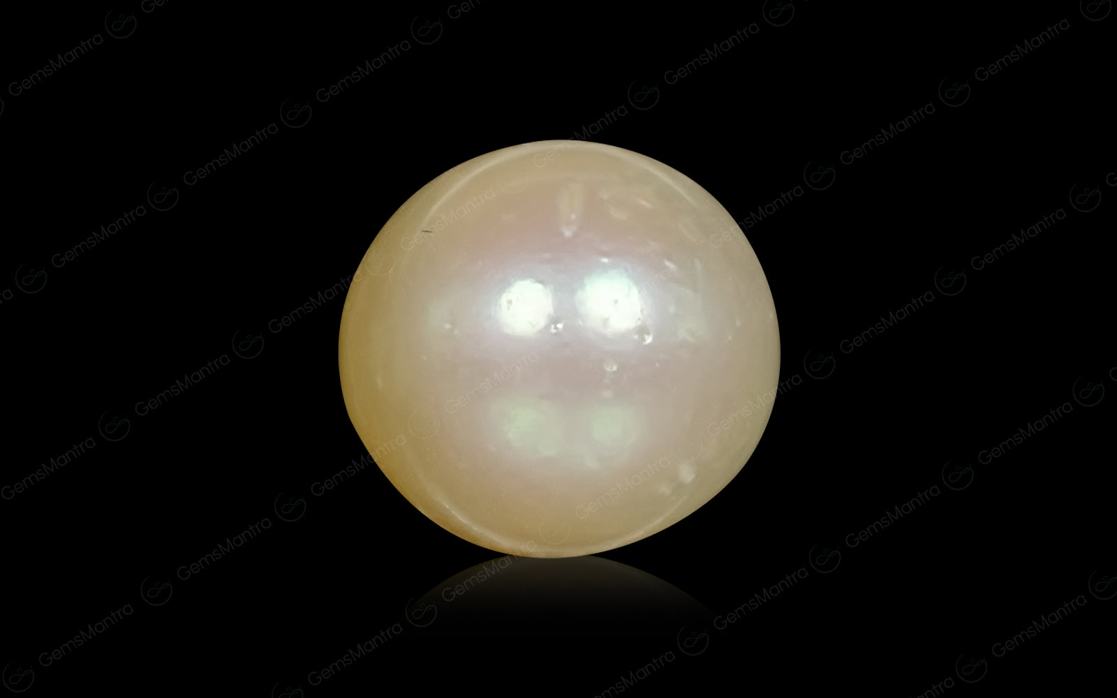 South Sea Pearl - 7.33 Carats
