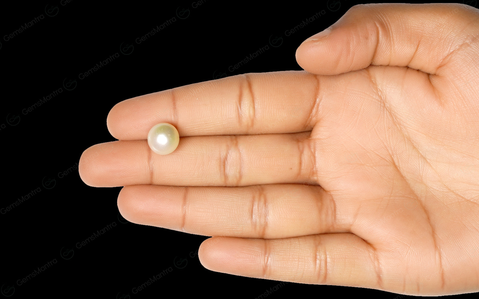South Sea Pearl - 7.33 Carats