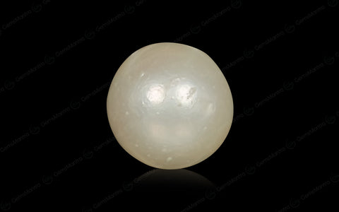 South Sea Pearl (Moti) – 6.96 Carat / 7.7 Ratti [GM02997]