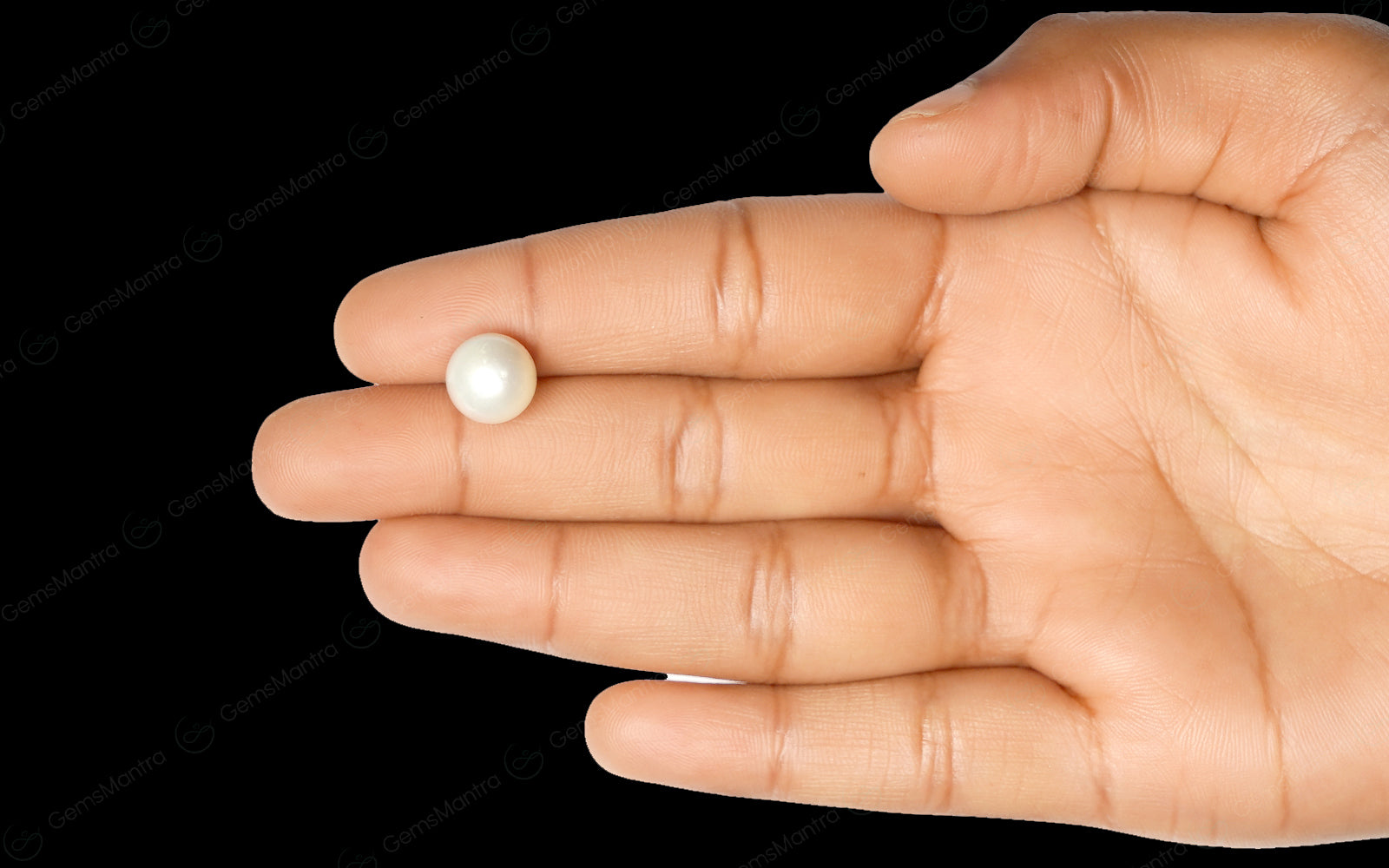South Sea Pearl - 6.62 Carats