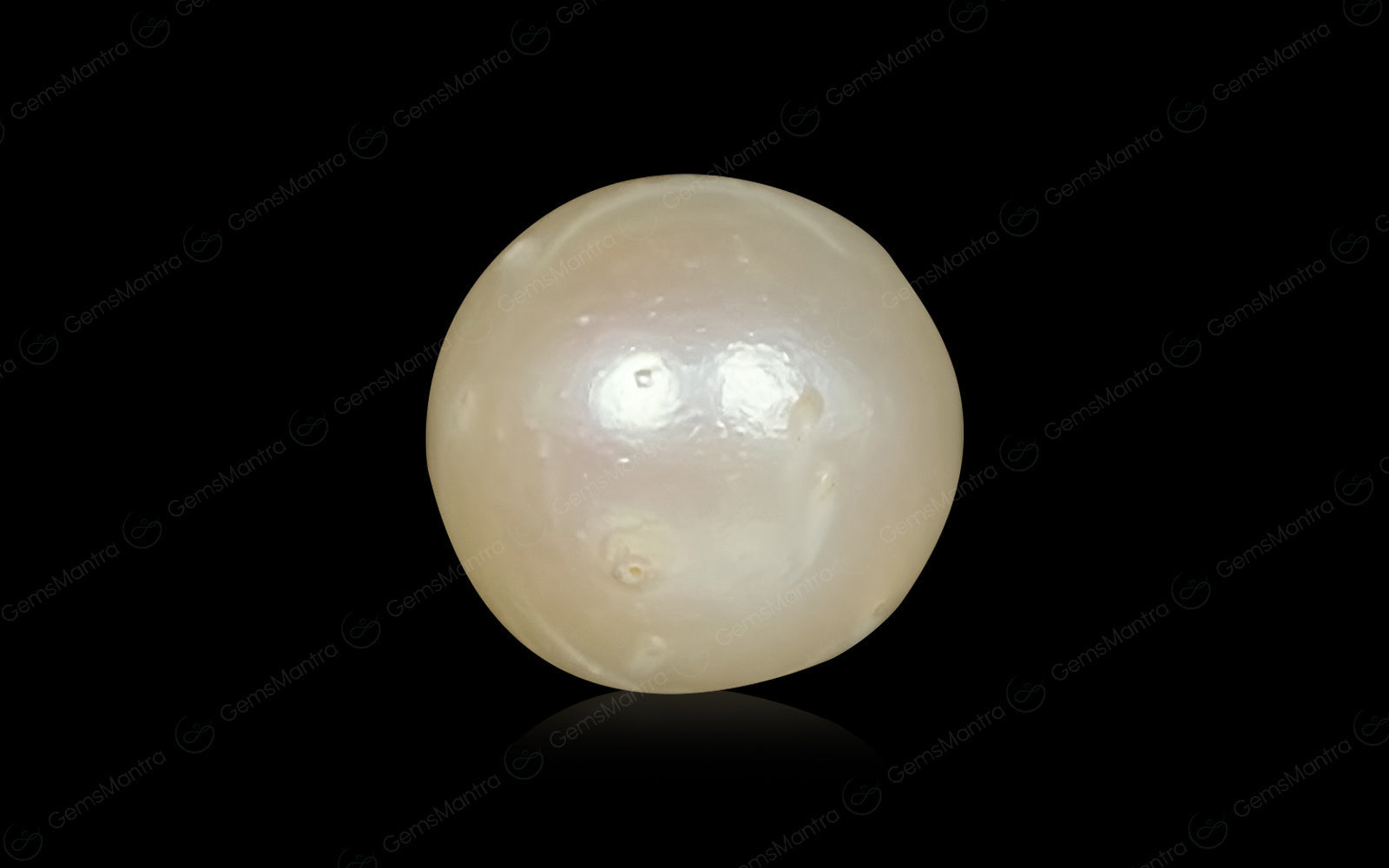 South Sea Pearl - 6.59 Carats