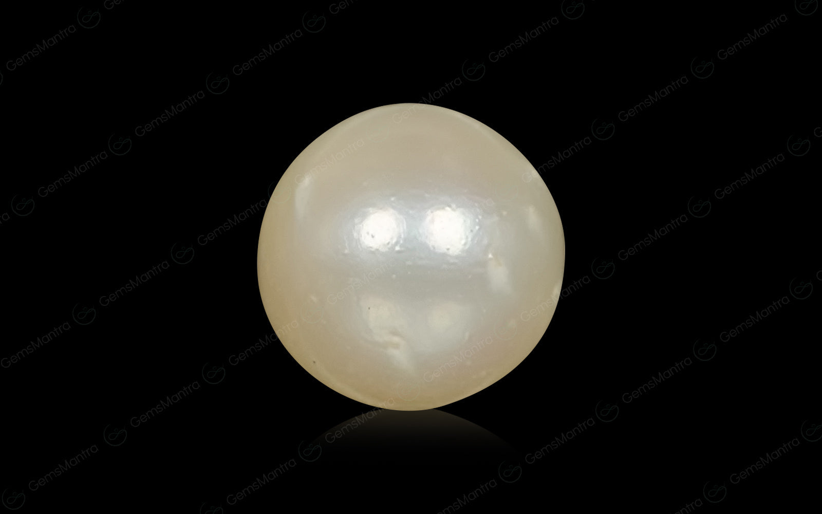South Sea Pearl - 6.59 Carats