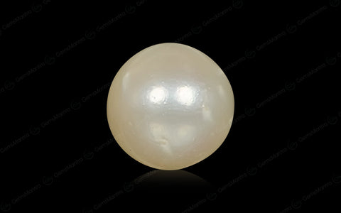 South Sea Pearl (Moti) – 6.59 Carat / 7.2 Ratti [GM03011]