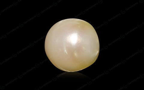 South Sea Pearl (Moti) – 7.34 Carat / 8.1 Ratti [GM03015]