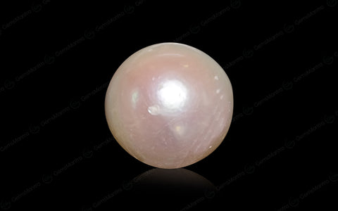 South Sea Pearl (Moti) – 6.43 Carat / 7.1 Ratti [GM03022]