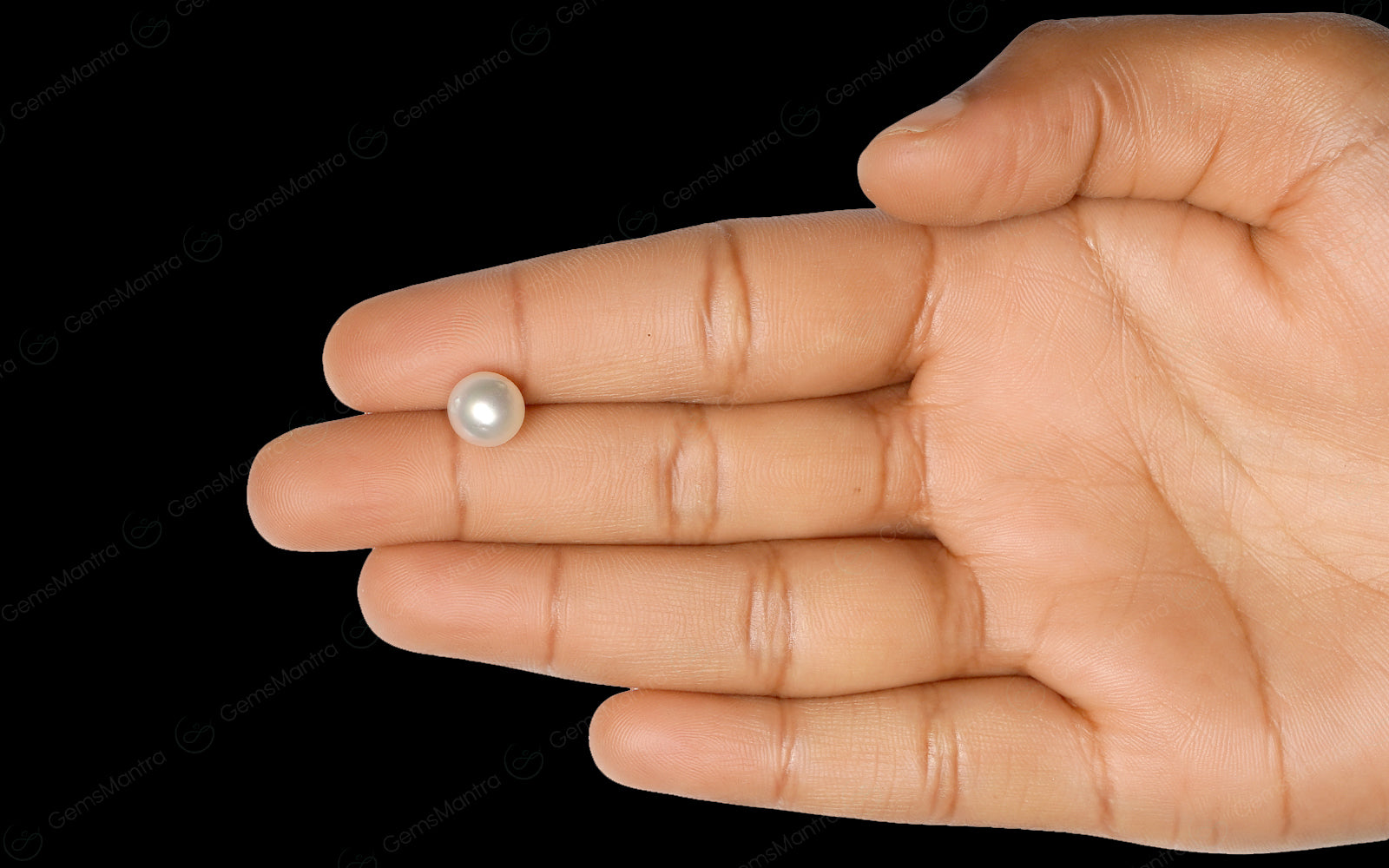South Sea Pearl - 4.11 Carats