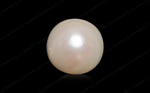 South Sea Pearl (Moti) – 6.54 Carat / 7.2 Ratti [GM03032]