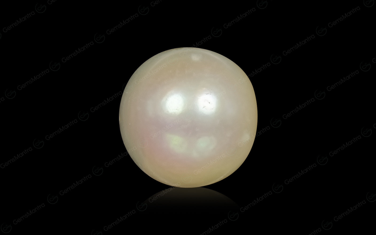 South Sea Pearl - 6.23 Carats