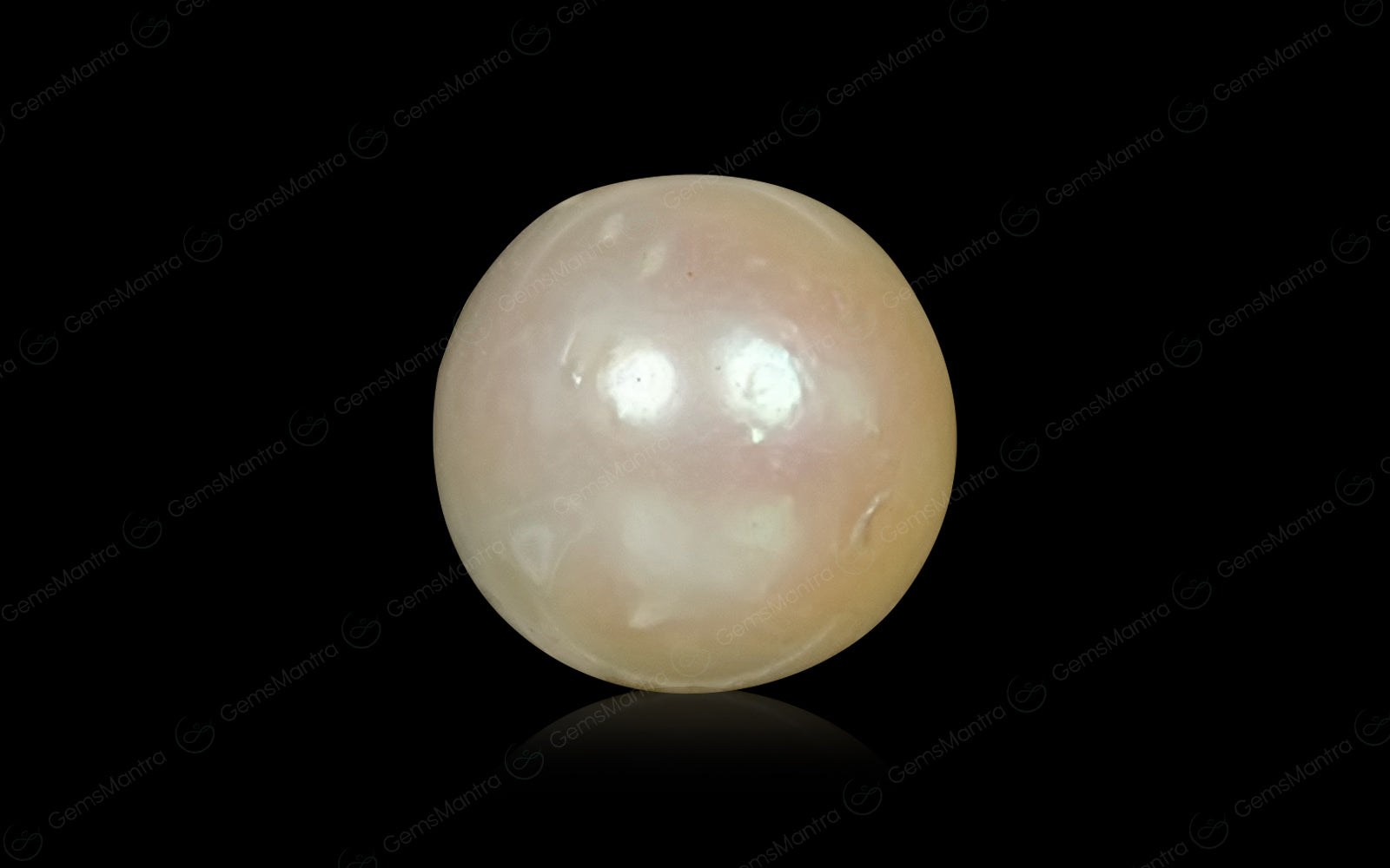 South Sea Pearl - 6.23 Carats