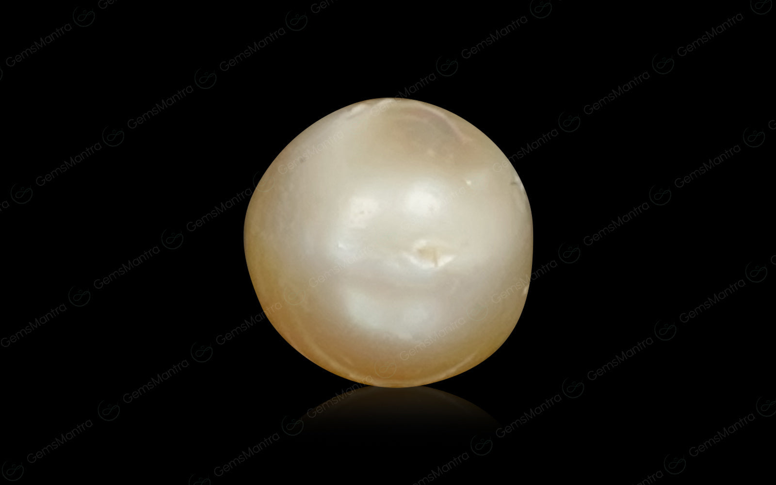 South Sea Pearl - 3.7 Carats