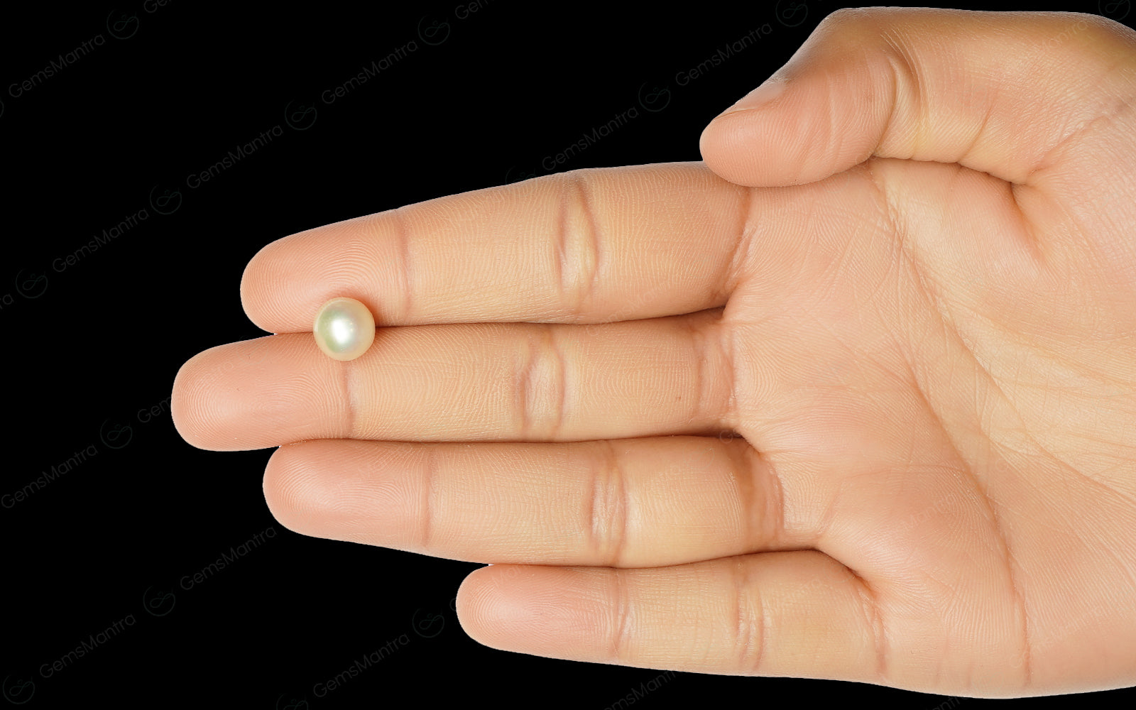 South Sea Pearl - 3.7 Carats