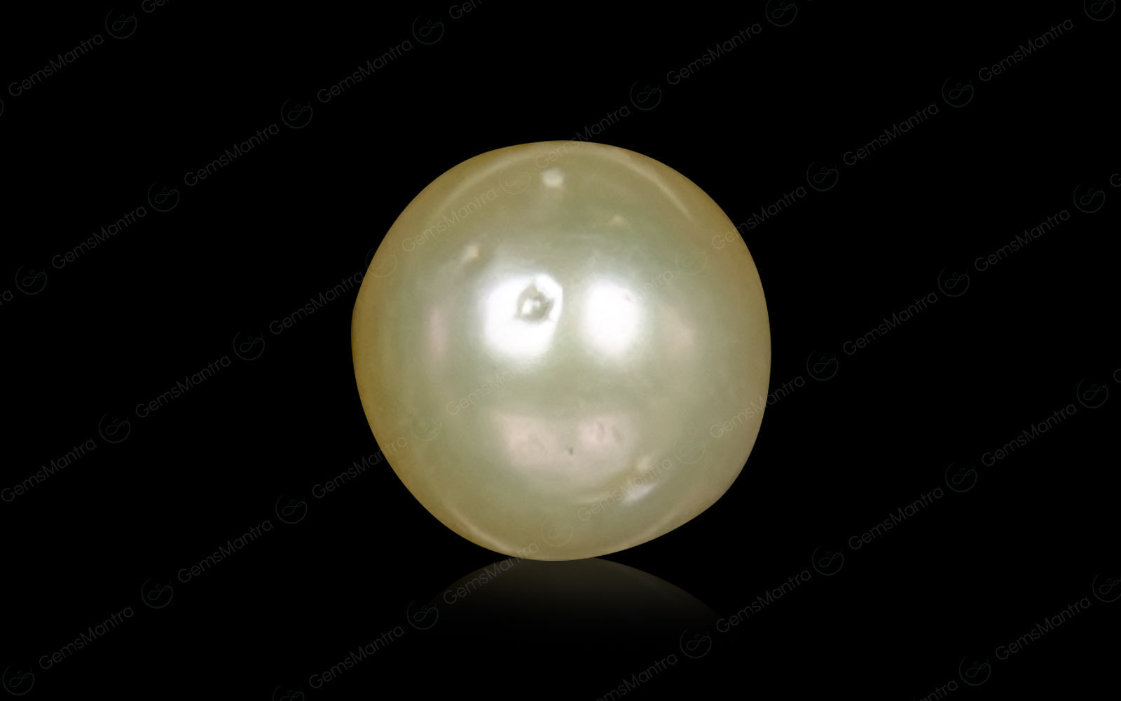 South Sea Pearl - 4.54 Carats