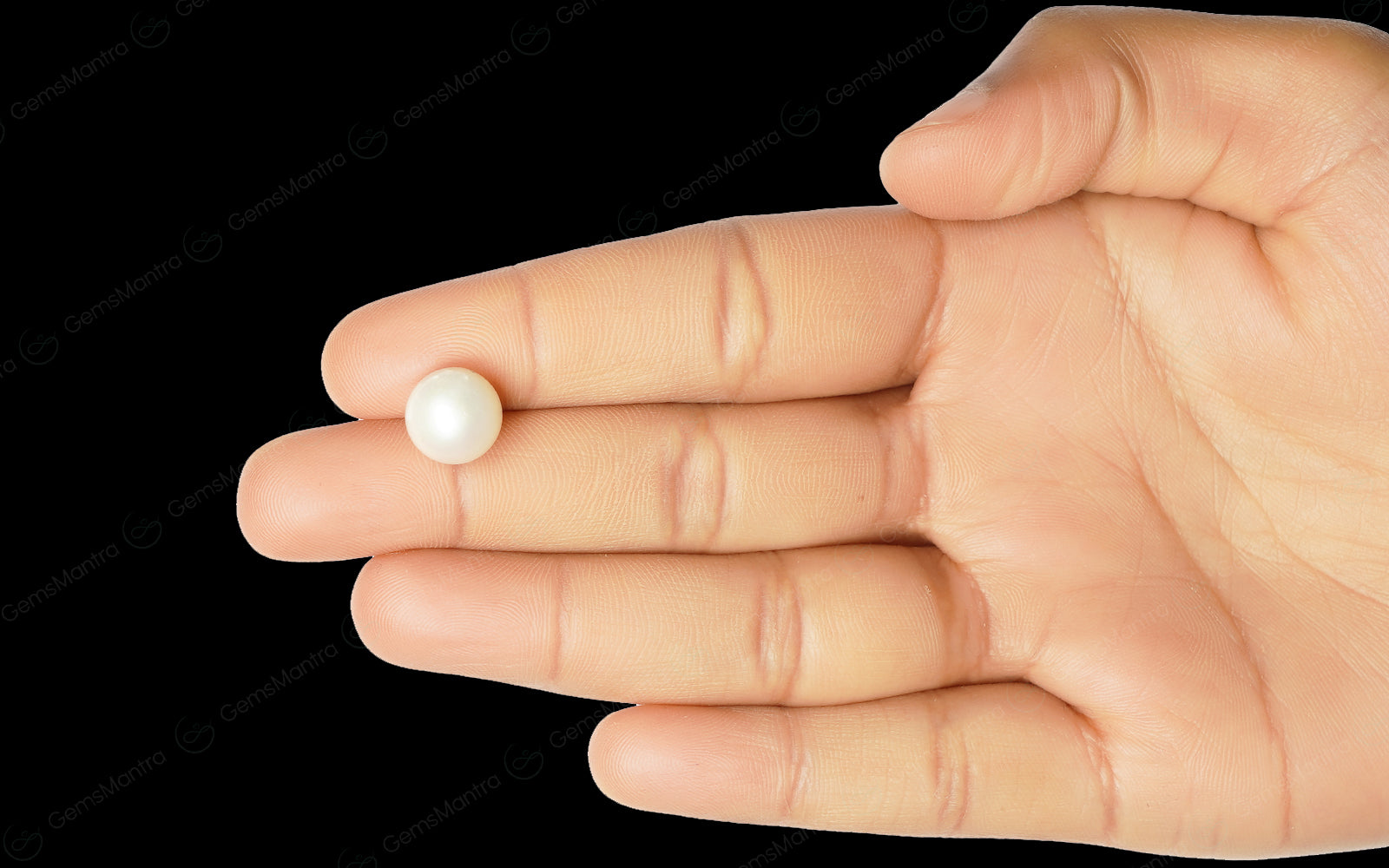 South Sea Pearl - 7.15 Carats