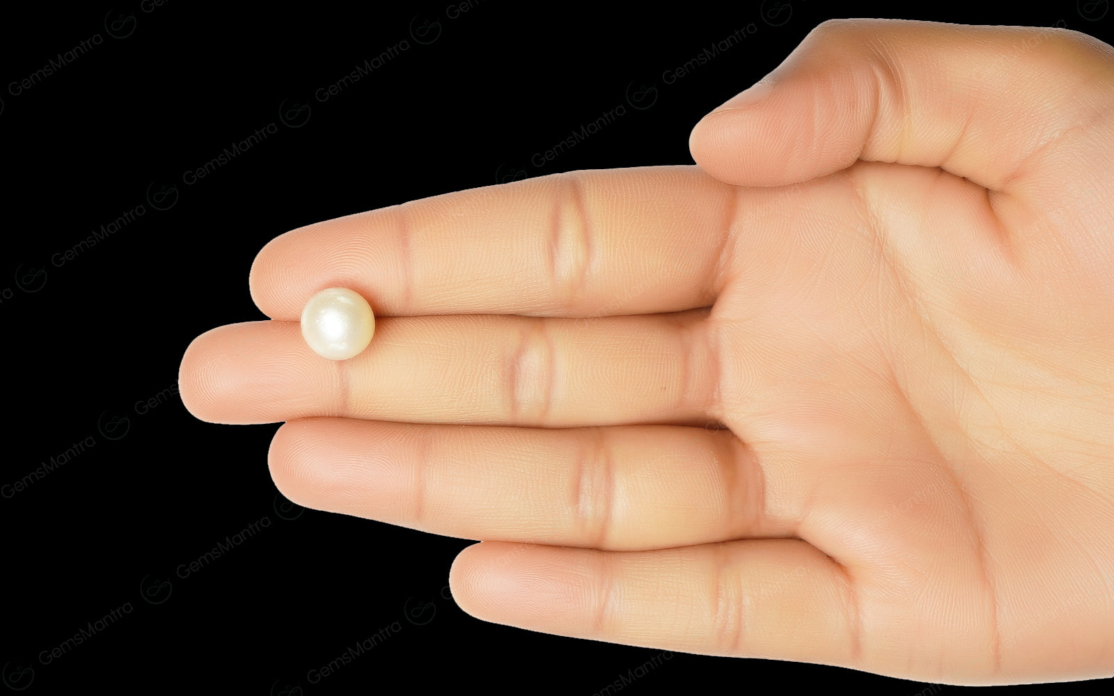 South Sea Pearl - 6.87 Carats