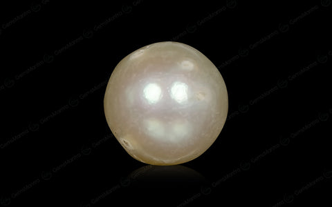 South Sea Pearl (Moti) – 3.96 Carat / 4.4 Ratti [GM03051]
