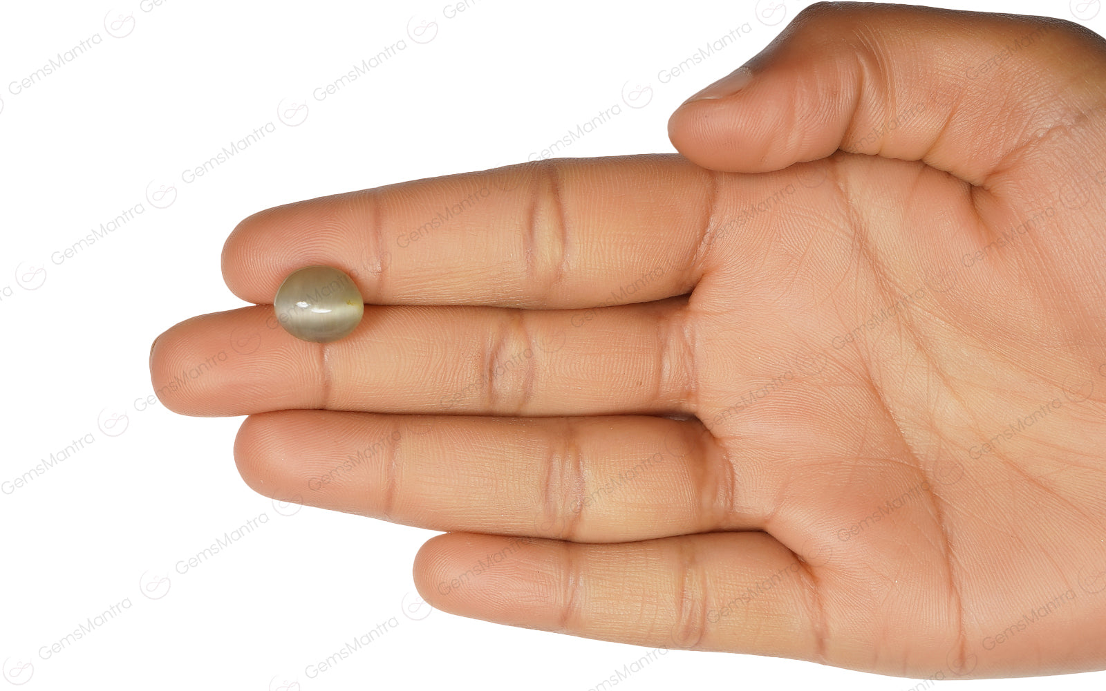 Cats Eye Quartz - 6 Carats