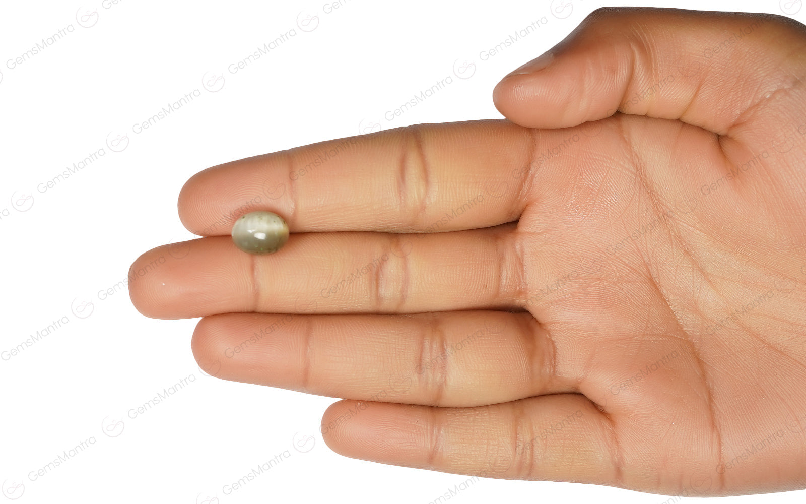 Cats Eye Quartz - 4.55 Carats