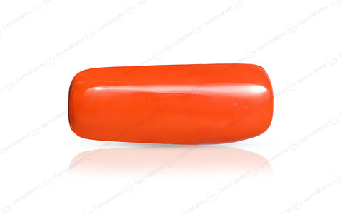 Coral - 7.2 Carats