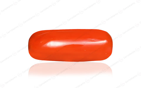 Red Coral (Moonga) – 6.15 Carat / 6.8 Ratti [GM09623]